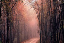 塞雷佐：若晋级国王杯决赛对阵皇马，这将是一场梦幻般救赎的决赛.