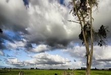 海星体育：最近一届奥运冠军将受邀参加WTT大满贯赛正赛及冠军赛央视新闻客户端.