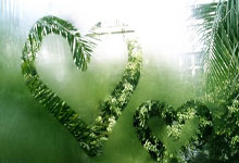 海星体育:“詹姆斯与库里合作拍摄篮球纪录片,期待上映”.